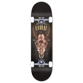Skateboard Madrid Street 7.75" Hirsch