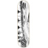 Hydroponic Spot Series Skateboard (8.25"|La Mar Bella)