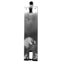 Deck Prey Today 5.9" 560mm Silber