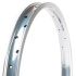 Salt Plus Mesa BMX Felge (Silber Poliert)
