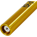Apex Quantum SCS/HIC Jesse Bayes Gabel