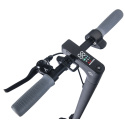 Elektrischer Roller Street Surfing VOLTAIK ION 400 grau