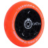 Gummi Oath Rot