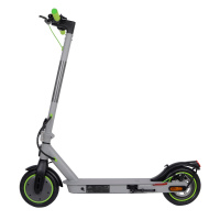 Elektroroller City Boss RS350 grau