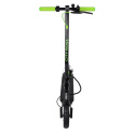 Elektrischer Roller City Boss RS250 schwarz