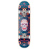 Skateboard Hydroponic Mexican 7.75" Blauer Schädel