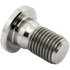 TLC Profile/Madera Titanium BMX Sprocket Schraube (Natural)