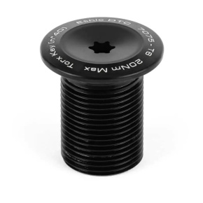 Ethic Torx Fork Top Screw SCS/HIC Ethic Torx Fork Top Screw SCS/HIC