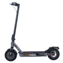 Elektrischer Roller Street Surfing VOLTAIK ION 400 grau