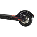 Elektrischer Roller Street Surfing VOLTAIK SRG 250 schwarz