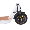 Elektrischer Roller City Boss RS500 weiß