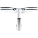 Ethic Dryade V2 570mm Raw Lenker