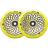 Root Lotus Rollen 110x24mm Radiant Yellow 2 Stück