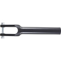 Apex Quantum Lite SCS/HIC Gabel schwarz