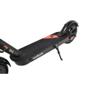 Elektrischer Roller Street Surfing VOLTAIK SRG 250 schwarz