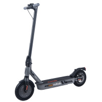 Elektrischer Roller Street Surfing VOLTAIK ION 400 grau