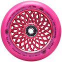 Root Lotus Rollen 110x24mm Radiant Pink 2 Stück