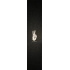 Root Peace Griptape Für Scooter (Peace)