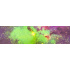 Blunt Galaxy grünes Griptape