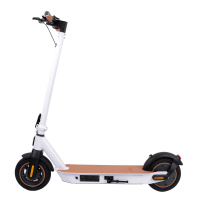 Elektrischer Roller City Boss RS500 weiß