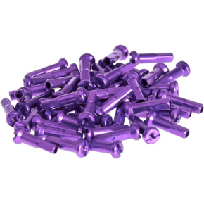 Salt Pro BMX Pegs (Lila)