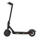 Elektrischer Roller Street Surfing VOLTAIK SRG 250 schwarz