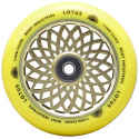 Root Lotus Rollen 110x24mm Radiant Yellow 2 Stück